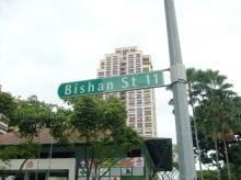 Bishan Street 11 #97532